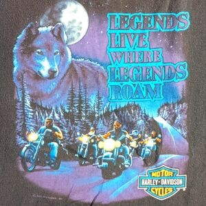 Harley Davidson Vintage 1991 Mens Tee